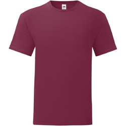 Kleidung Herren T-Shirts Fruit Of The Loom 61430 Multicolor
