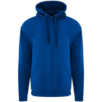 Kleidung Herren Sweatshirts Pro Rtx RX350 Blau