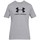 Kleidung Herren T-Shirts Under Armour Sportstyle Logo Tee Grau