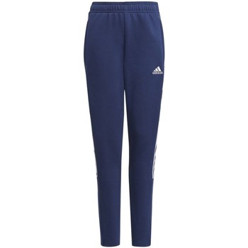 Kleidung Jungen Hosen Adidas Sportswear Sport TIRO21 SW PNT Y GK9675 Blau