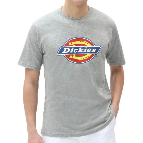Kleidung Herren T-Shirts Dickies DK0A4XC9GYM1 Grau