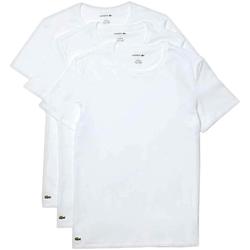 Kleidung T-Shirts Lacoste  Weiss