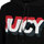 Kleidung Damen Sweatshirts Juicy Couture JWTKT179637 | Hooded Pullover Schwarz
