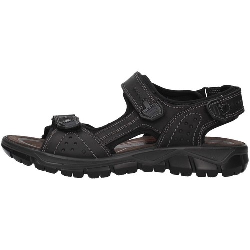 Schuhe Herren Sandalen / Sandaletten IgI&CO 5147800 Schwarz