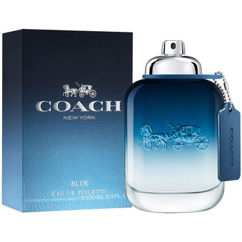 Coach Blue Eau De Toilette Spray 