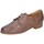 Schuhe Damen Derby-Schuhe & Richelieu Everybody Schnuerschuhe 19465G2365 Braun