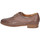Schuhe Damen Derby-Schuhe & Richelieu Everybody Schnuerschuhe 19465G2365 AGASTA Braun
