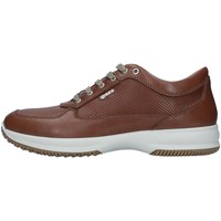 Schuhe Herren Sneaker Low IgI&CO 7119022 Braun