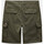 Kleidung Herren Shorts / Bermudas Dickies Millerville short Grün