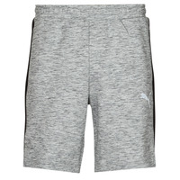 Kleidung Herren Shorts / Bermudas Puma EVOSTRIPE SHORTS 8 Grau / Schwarz