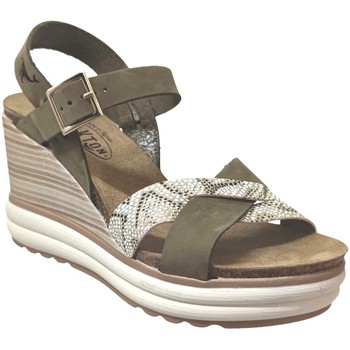 Schuhe Damen Sandalen / Sandaletten Plakton Plantio Grün