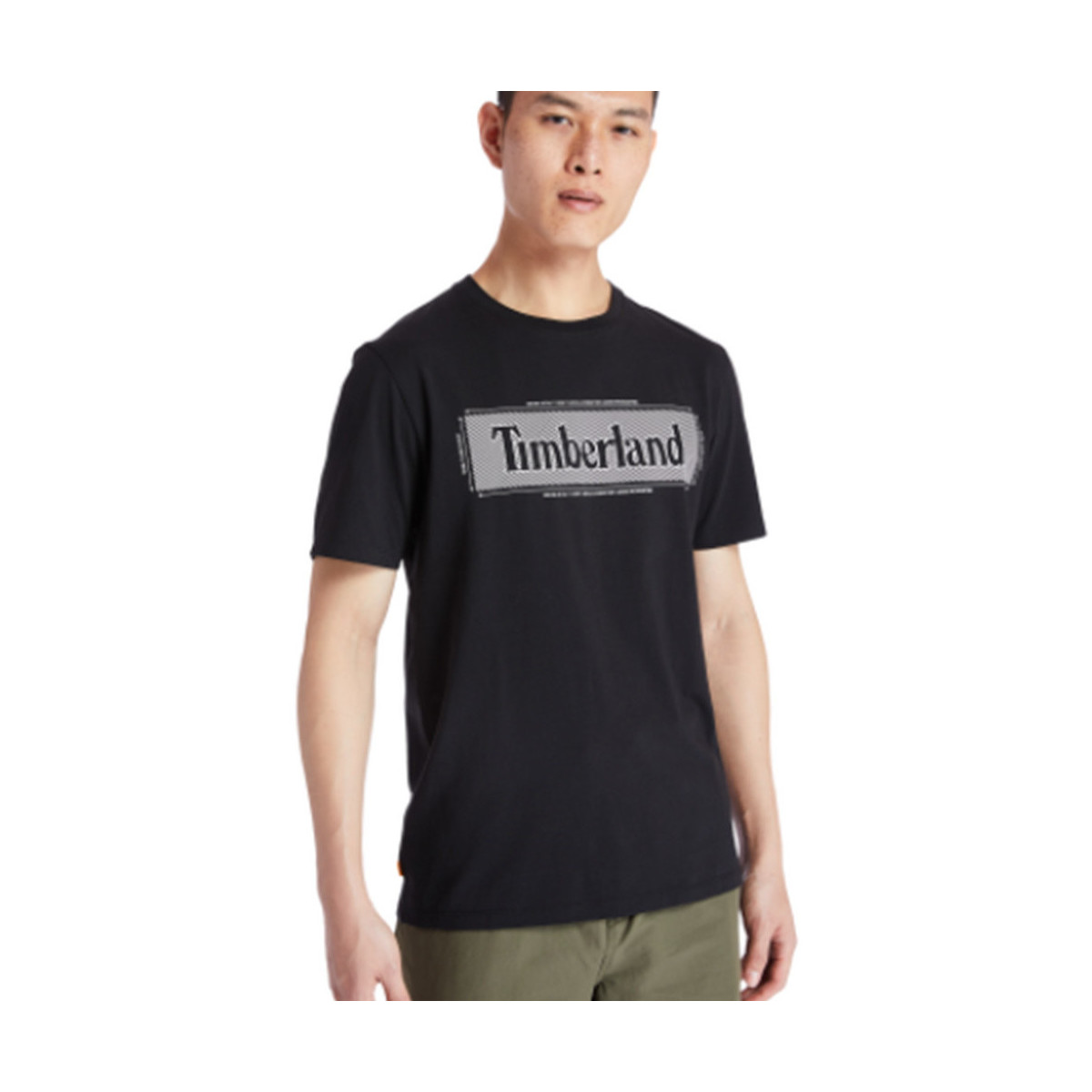 Kleidung Herren T-Shirts Timberland Tfo yc ss graphic Schwarz
