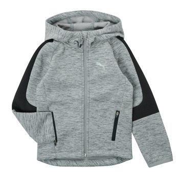 Kleidung Jungen Sweatshirts Puma EVOSTRIPE FZ HOODED JACKET Grau