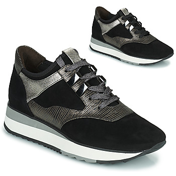Schuhe Damen Sneaker Low Adige XERUS V1 SOLAR CARBONE Grau