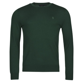 Kleidung Herren Pullover Polo Ralph Lauren AMIRAL Grün