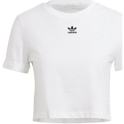 Kleidung Damen T-Shirts adidas Originals Crop Top Weiss