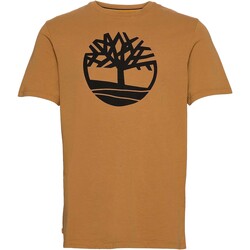 Kleidung Herren T-Shirts Timberland 227485 Gelb