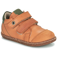 Schuhe Jungen Sneaker High Aster WASHAN Camel / Grün