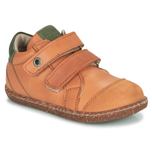 Schuhe Jungen Sneaker Low Aster WASHAN Camel / Grün