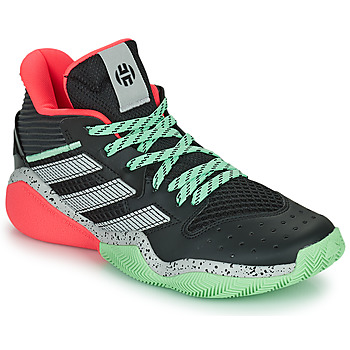 Schuhe Basketballschuhe adidas Performance HARDEN STEPBACK Schwarz / Grau / Grün