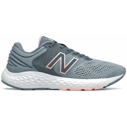 Schuhe Damen Laufschuhe New Balance 520 Grau