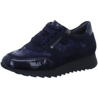 Schuhe Damen Derby-Schuhe & Richelieu Sioux Schnuerschuhe Oseka-701-J-Schnürer 64581 blau