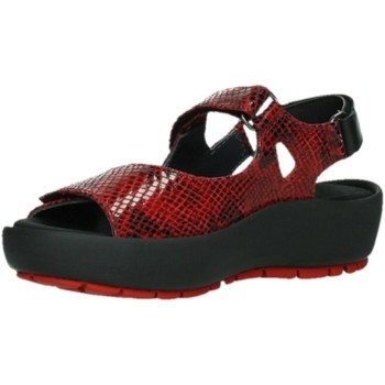 Schuhe Damen Sandalen / Sandaletten Wolky Sandaletten RIO RETRO LEATHER 0332598-500 Rot