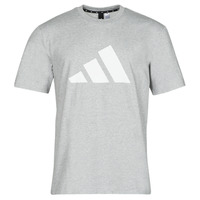 Kleidung Herren T-Shirts adidas Performance M FI 3B TEE Grau