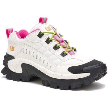 Schuhe Damen Sneaker Low Caterpillar INTRUDER GARDENIA Beige