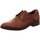 Schuhe Herren Derby-Schuhe & Richelieu Sioux Business Forello XL 34341 Braun