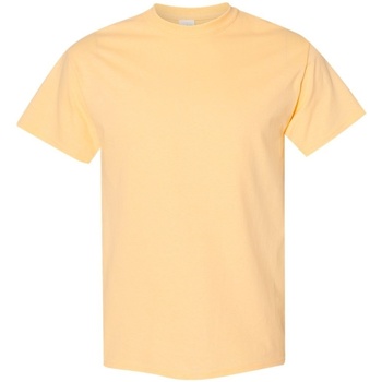 Kleidung Herren T-Shirts Gildan 5000 Multicolor
