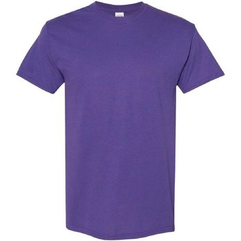 Kleidung Herren T-Shirts Gildan 5000 Violett