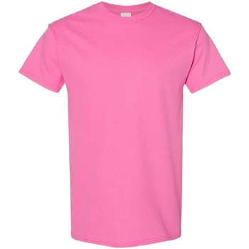 Kleidung Herren T-Shirts Gildan 5000 Azalea