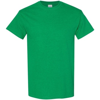 Kleidung Herren T-Shirts Gildan 5000 Grün