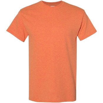 Kleidung Herren T-Shirts Gildan 5000 Orange