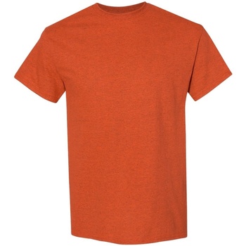 Kleidung Herren T-Shirts Gildan 5000 Antik Orange