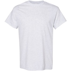 Kleidung Herren T-Shirts Gildan 5000 Aschgrau