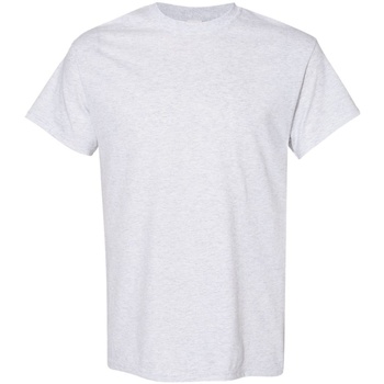 Kleidung Herren T-Shirts Gildan 5000 Grau