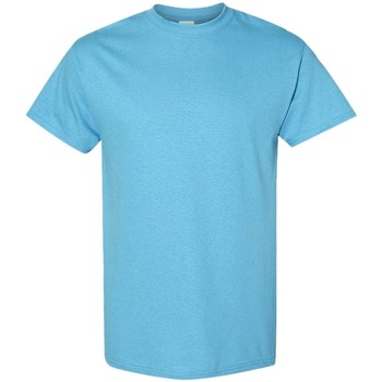 Kleidung Herren T-Shirts Gildan 5000 Blau