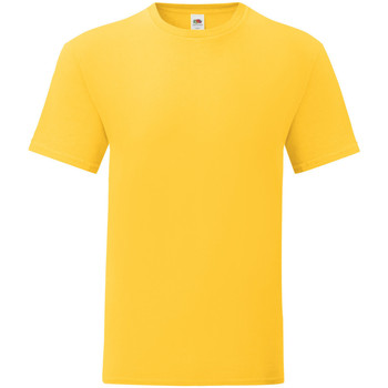 Kleidung Herren T-Shirts Fruit Of The Loom 61430 Multicolor
