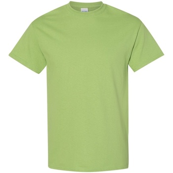 Kleidung Herren T-Shirts Gildan 5000 Grün