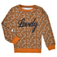 Kleidung Mädchen Sweatshirts Name it NKFKAFRA LS SWEAT Orange