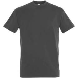 Kleidung Damen T-Shirts Sols IMPERIAL camiseta color Gris Oscuro Grau