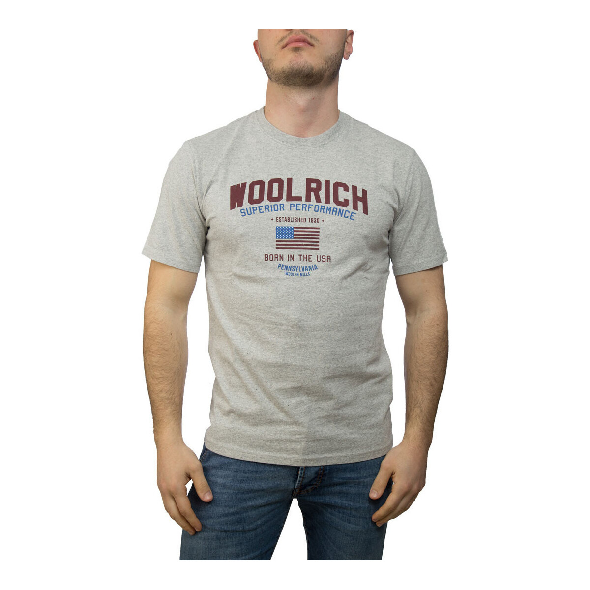 Kleidung Herren T-Shirts & Poloshirts Woolrich W0TEE1158 Grau