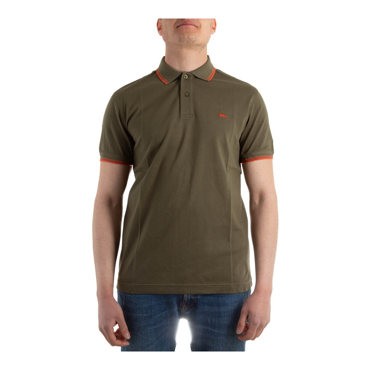 Kleidung Herren T-Shirts & Poloshirts Harmont & Blaine LNF010021054 Grün