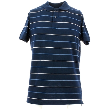 Kleidung Herren T-Shirts & Poloshirts City Wear THMR5171 Blau