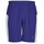 Kleidung Herren Shorts / Bermudas Puma WV RECY 9SHORT Blau / Weiss