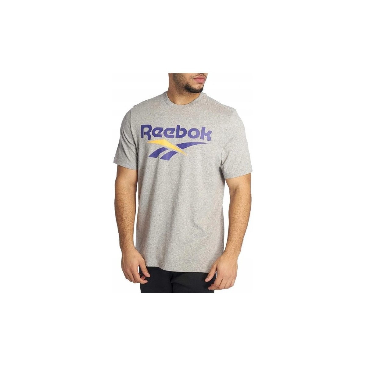 Kleidung Herren T-Shirts Reebok Sport CL V Tee Grau