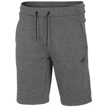 Kleidung Herren Shorts / Bermudas 4F SKMD014 Grau