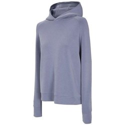 Kleidung Damen Sweatshirts 4F BLD017 Violett